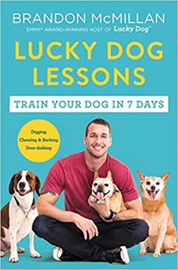 6Lucky Dog Lessons