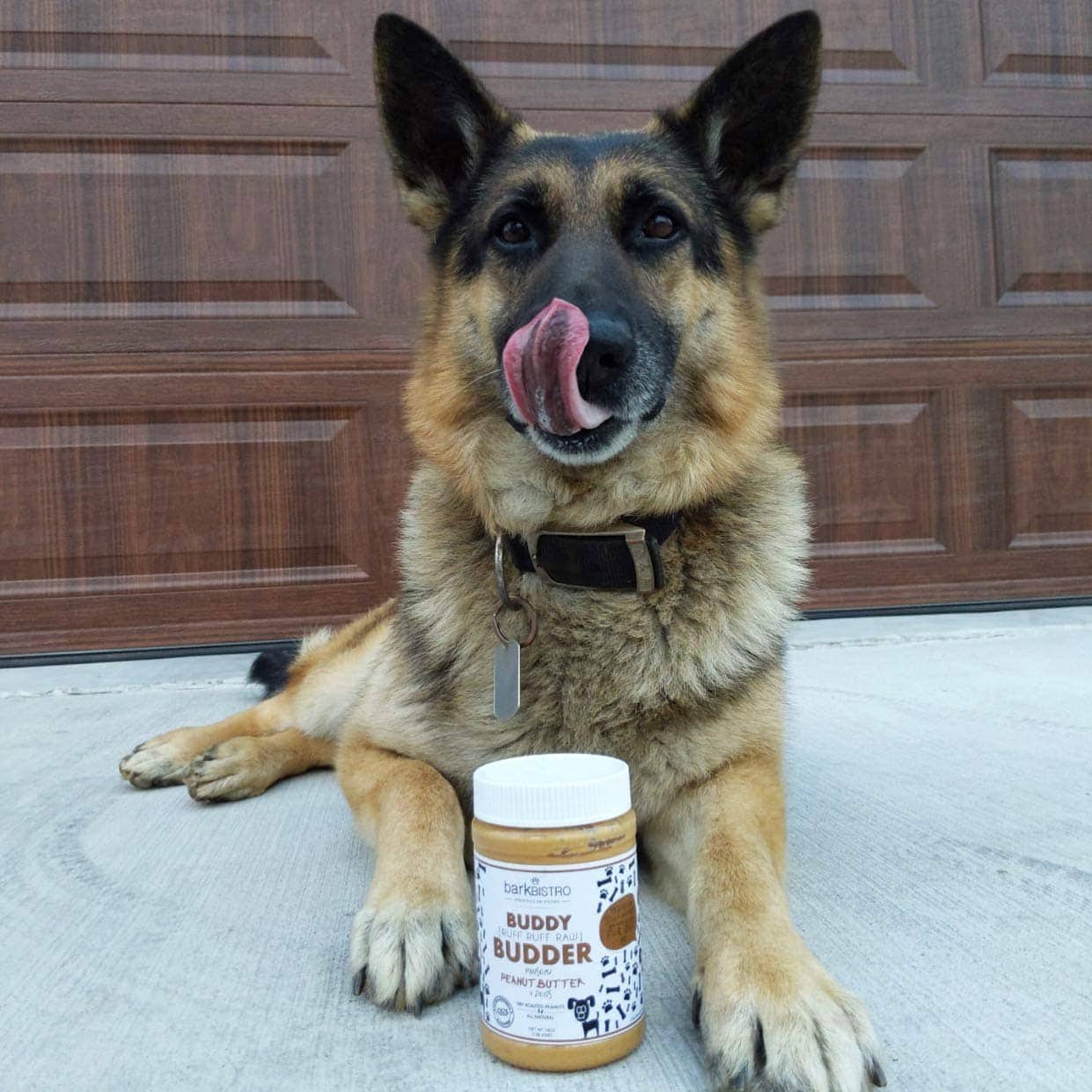 Best Dog Peanut Butter