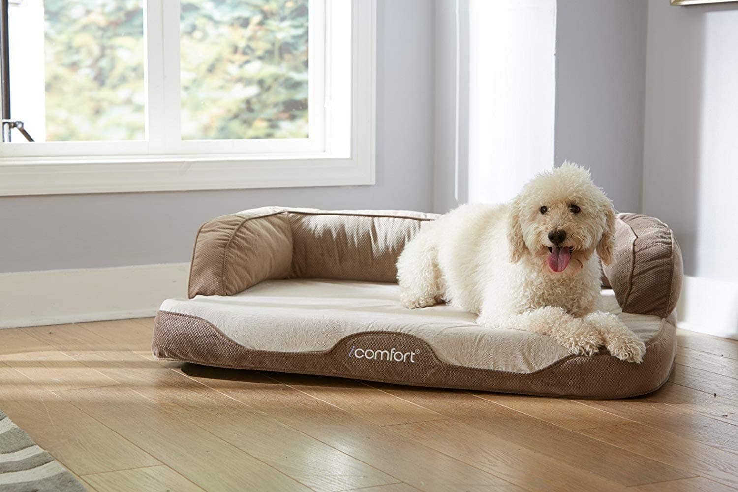 Best Dog Cooling Bed