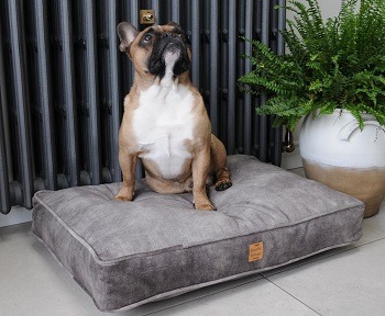 A dog bed that's washable
