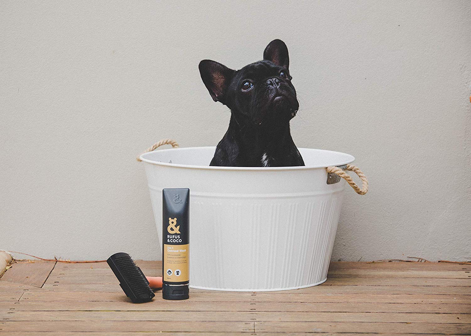 A dog in a bath tub