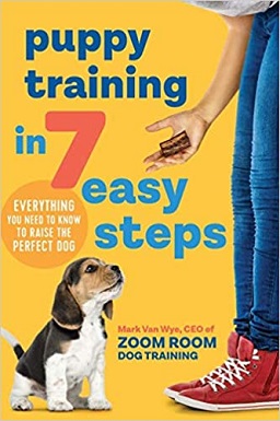 8Puppy Training in 7 Easy Steps