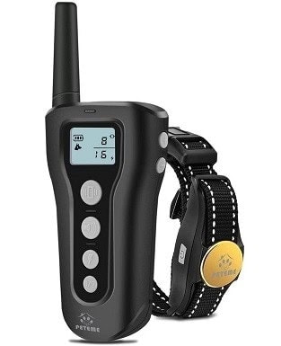 best cheap shock collar