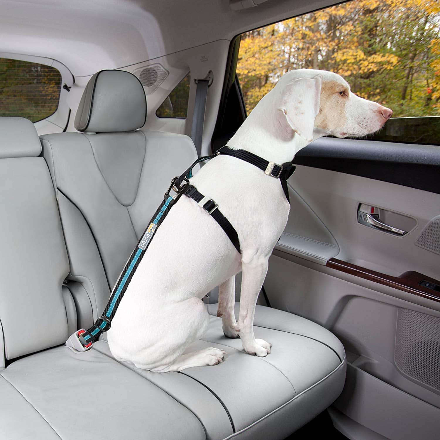Orange Dog Car Seatbelt Adjustable Pet Seat Belt Strap Car Headrest Restraint Adjustable Nylon Dog Restraints Vehicle Seatbelts Harness Dog Seat Belt Pet Universal Seatbelts Leash