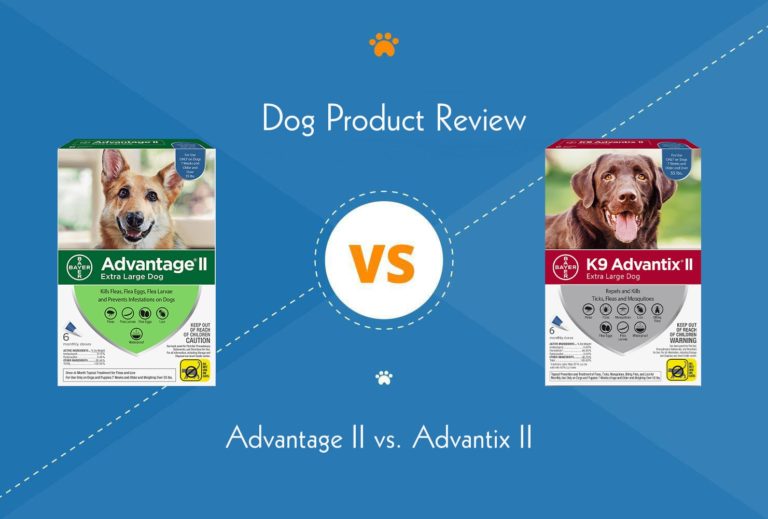 Advantage II vs. Advantix II We Asked a Vet (2025 Update) Hepper