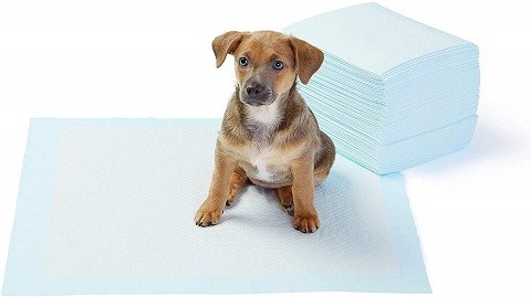 Go Here Absorbent Dog and Puppy Training Pads Pack of 14 OUT
