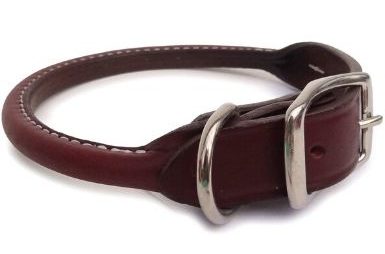 petco rolled leather collar