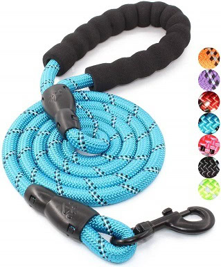 best bungee leash