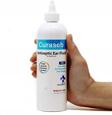 pattotic ear drops