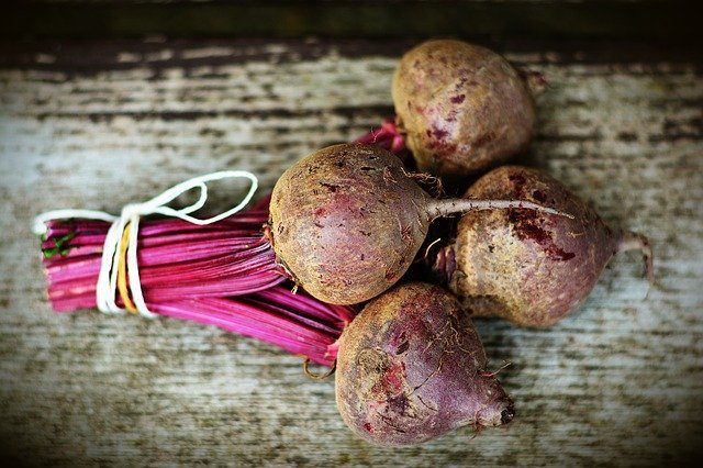 is beetroot good for dogs