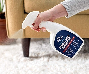 Best Carpet Cleaner for Dog Urine