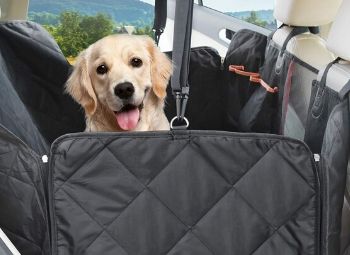 a Dog Car Hammock