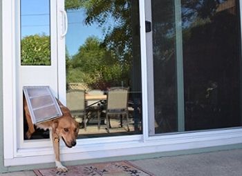 A glass sliding door for dogs