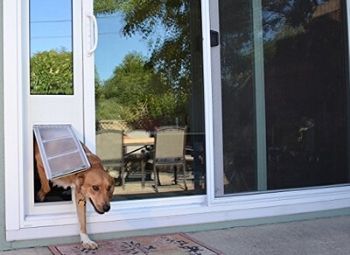 Doggy Door Mounted on Heavy Duty Sliding Screen Door - Pet Doors