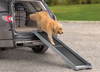 Best Dog Ramp