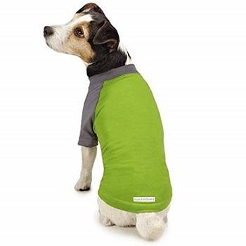 An Insect Shield insect repellent tee for dogs