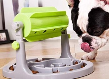 Best Slow Feeder for Smart Dogs