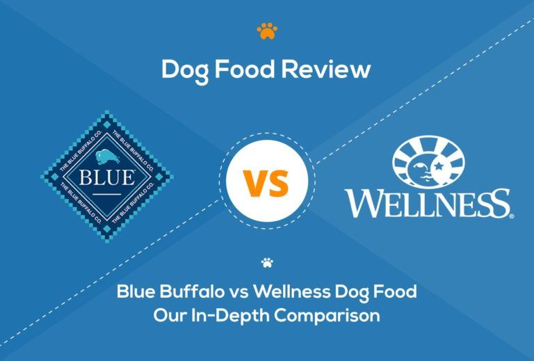 Blue Buffalo vs Wellness Dog Food