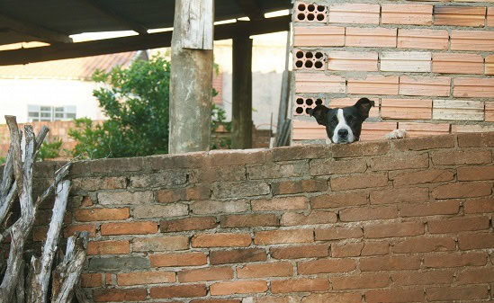 Brick Fence