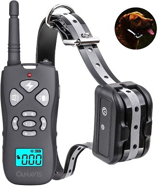 best waterproof e collar