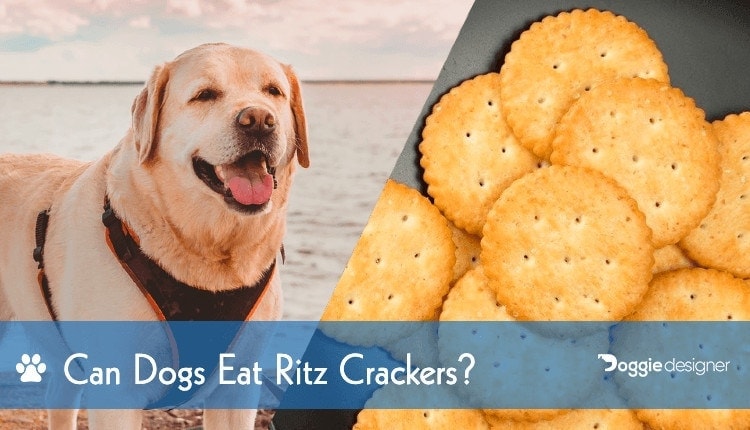 crackers dogs