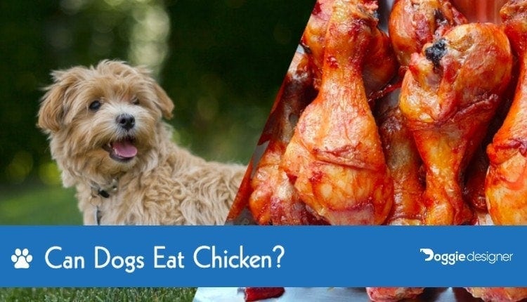 chicken dogs