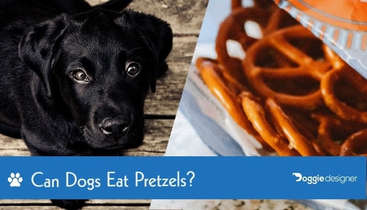 wall mounted cat tree diy