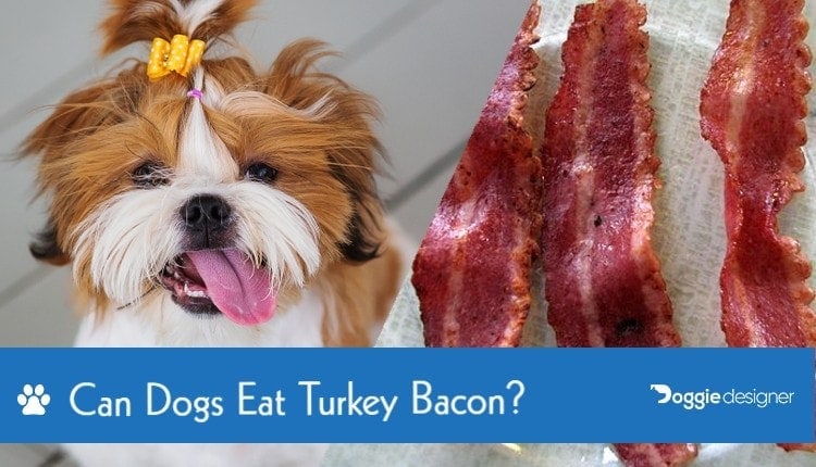 Can Dogs Eat Turkey Bacon? What You Need To Know! | Hepper
