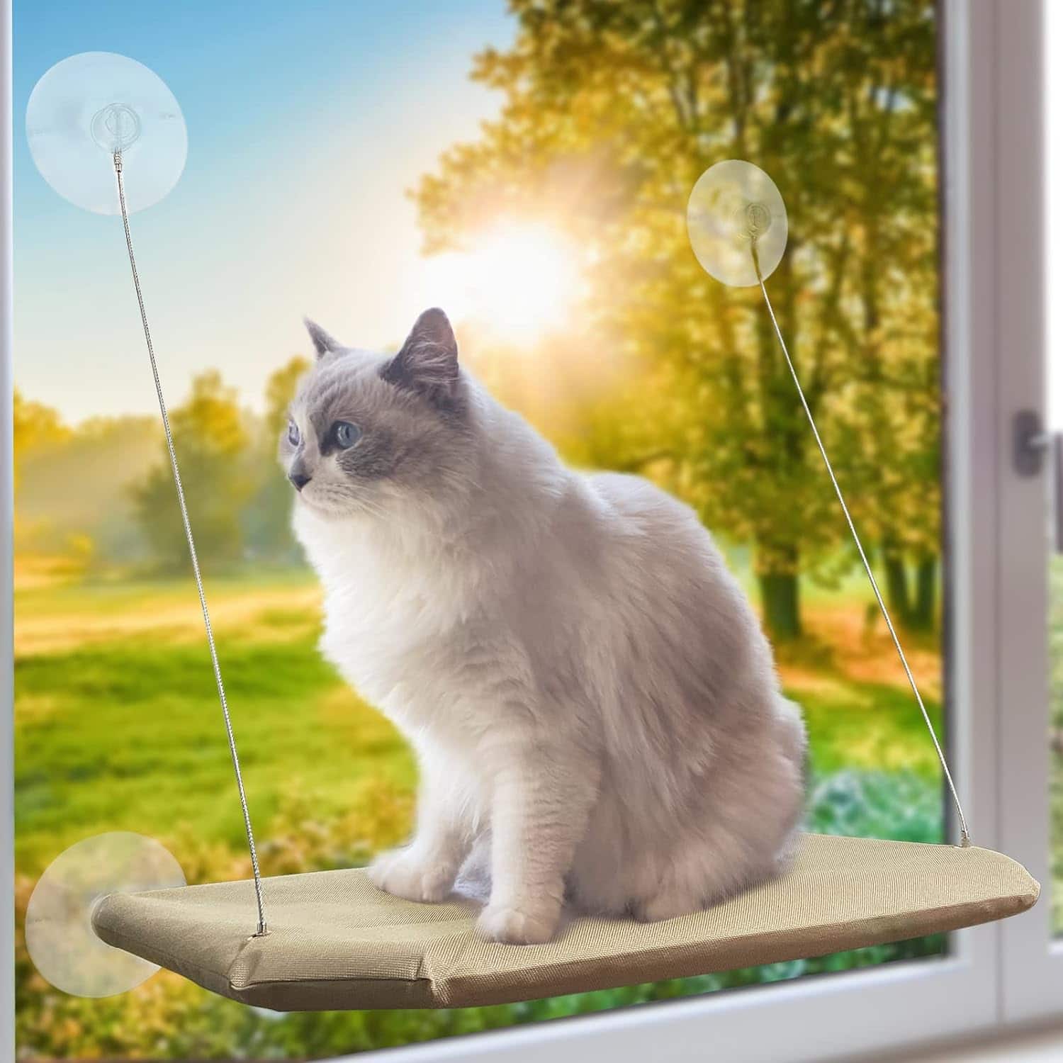 Cat Window Perch