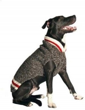 medium size dog sweater
