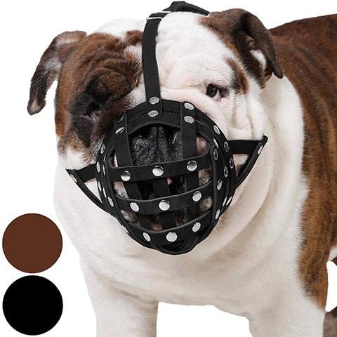 gentle muzzle guard dogs