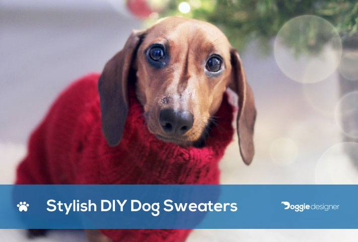 diy small dog sweater