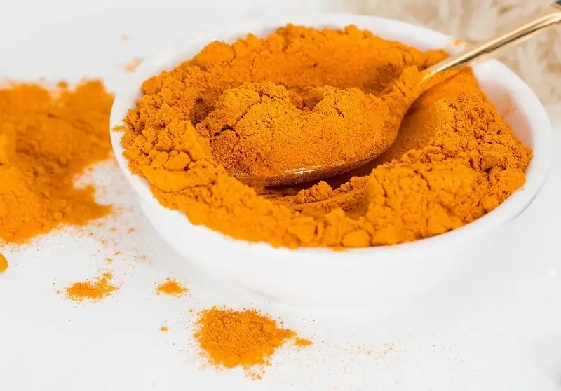 Can Dogs Eat Curry? 3 Harmful Side Effects of Curry Powder