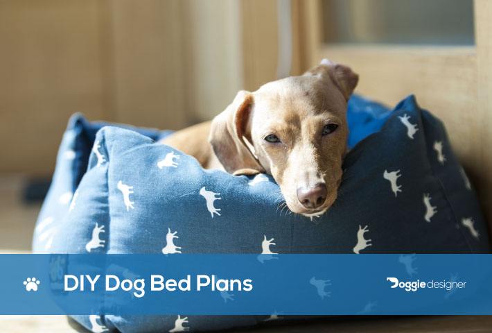 diy chew proof dog bed