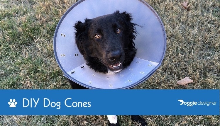 homemade dog cone ideas