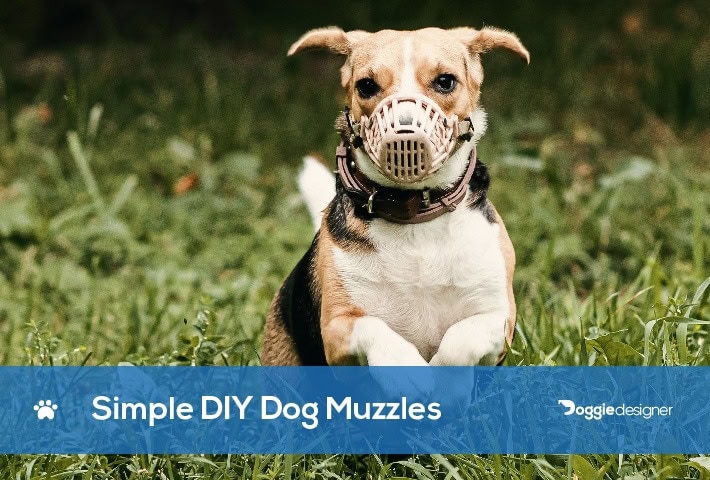 diy muzzle for shih tzu