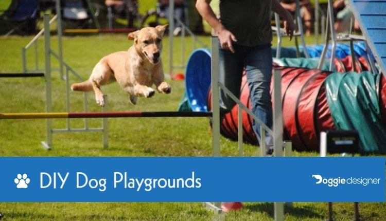diy dog play yard