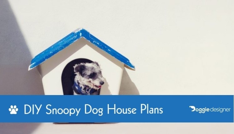 5 Diy Snoopy Dog House Plans You Can Build Today With Pictures Hepper