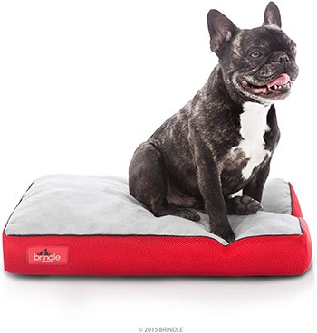 A brindle dog bed