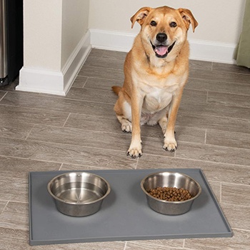 A dog bowl mat