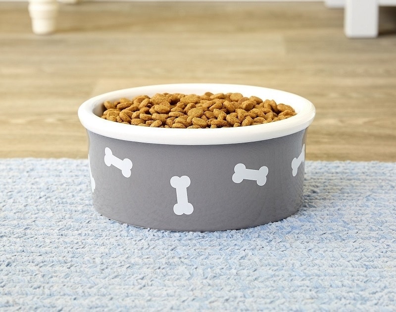 Dog Bowl