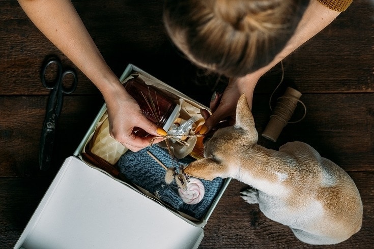 Dog Care Box