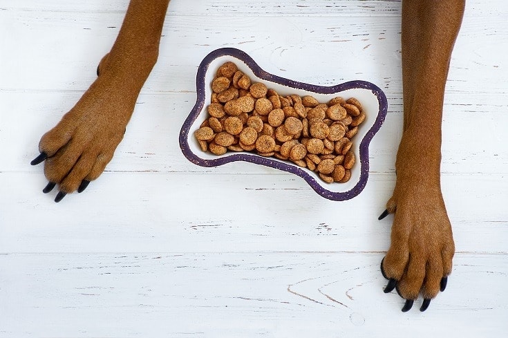 Best Low Fat Canned Dog Food