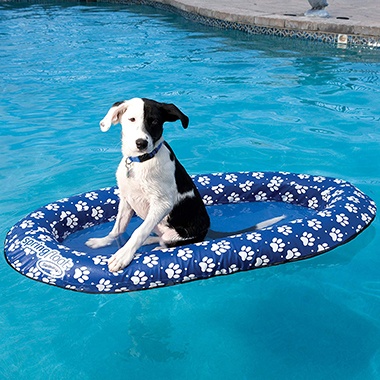 Dog Pool Float-SwimWays-Amazont
