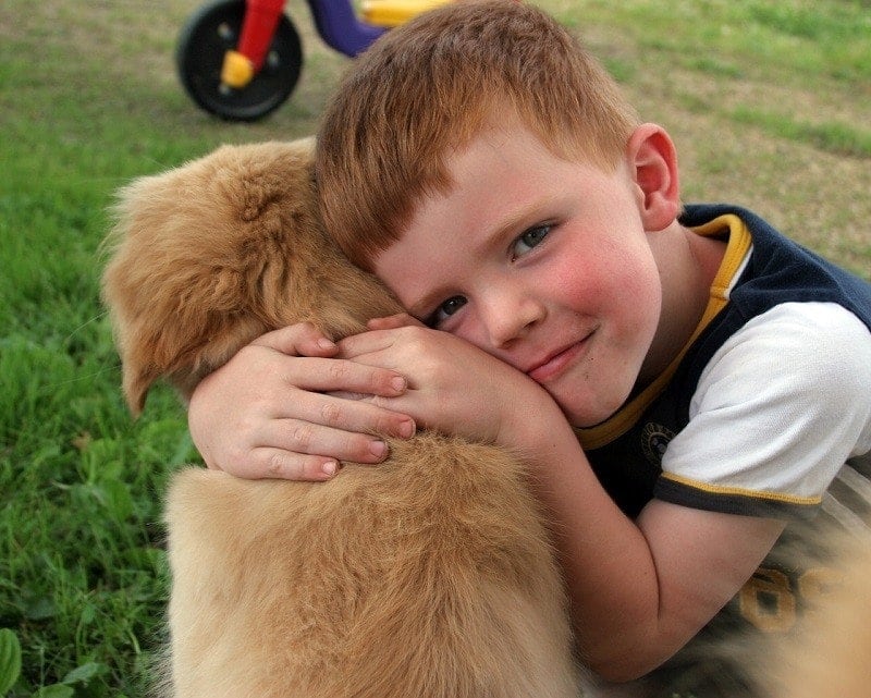 Dog may lower your child’s chances of developing asthma