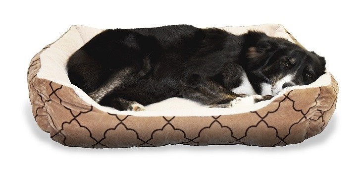 What is good for dog bedding?