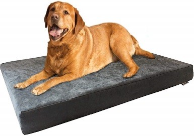 washable memory foam dog bed
