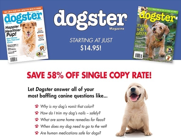 Top 10 Dog Magazines & Publications of 2023 - Reviewed and Compared | Hepper