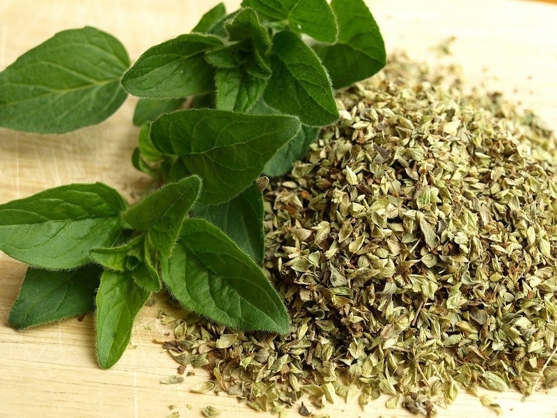 Fresh and Dried Oregano