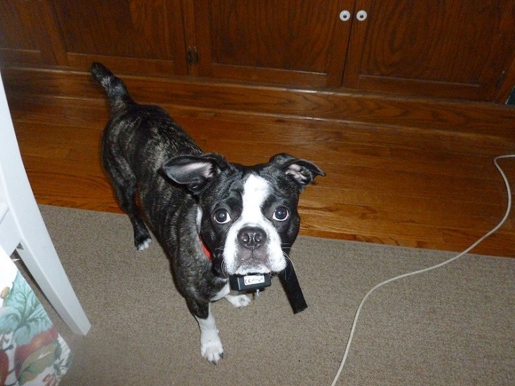 Frug